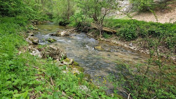 Foto de EP87 a lo largo del recorrido