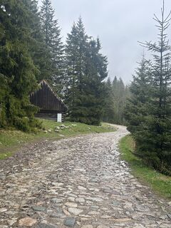 Foto von Wax Japow entlang der Tour