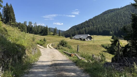 Fotografia z Brigitta Jencski na trase