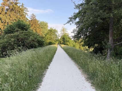 Fotografie z Schaali na trase