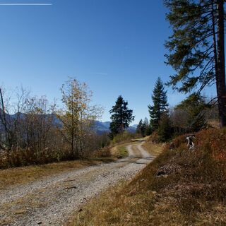 Weg nach Wasserscheide - Gantrisch Bike-Panoramaweg