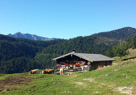 Idyllisch: Die Neuhütte