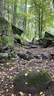 Foto de Siggi unterwegs a lo largo del recorrido