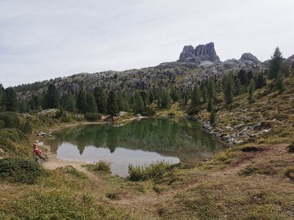 Fotografija s spletne strani Vida Burja na poti
