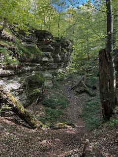 Fotografie z Bernd Bluttner na trase