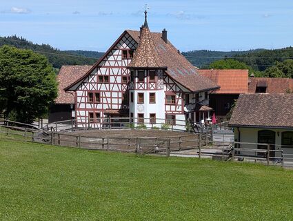 Foto von WolBo entlang der Tour