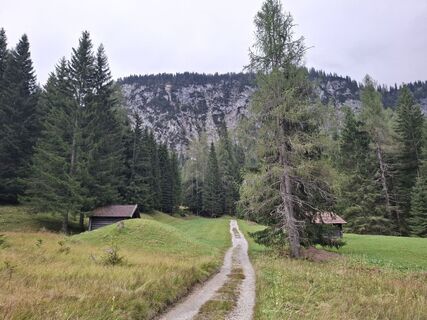 Fotografija s spletne strani Luc Luyckx na poti