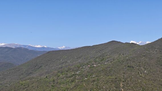 Fotografija s spletne strani Franca Škarja na poti