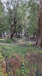 Photo de Andreas Finger le long du parcours