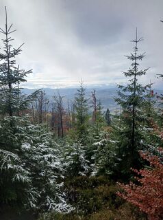Foto de Daniel Kremiec a lo largo del recorrido