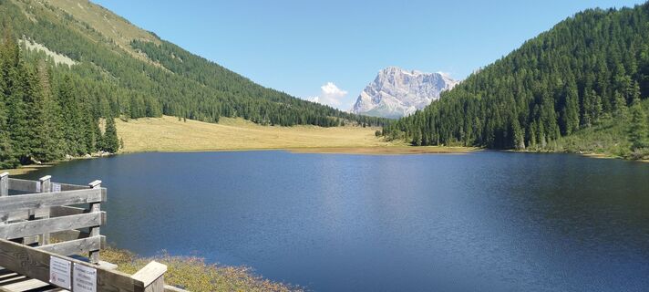 Fotografija s spletne strani Michele Vianello na poti