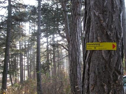 Hanselsteig, Hohe Wand