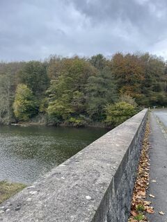 Fotografija s spletne strani Ivo na poti