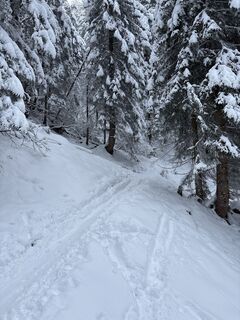 Фото с сайта Heinz Sperl во время экскурсии