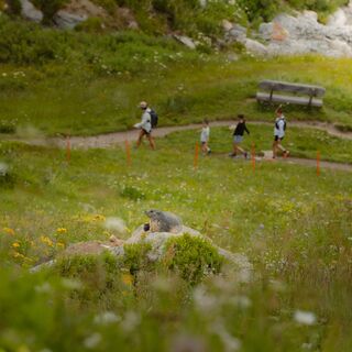 Lötschentaler Höhenweg Lauchernalp - Fafleralp