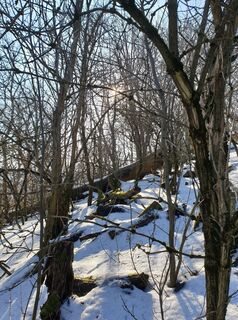 Foto de Georg B. Meier a lo largo del recorrido