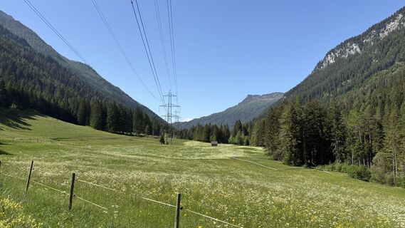 Foto von Brownie85 entlang der Tour