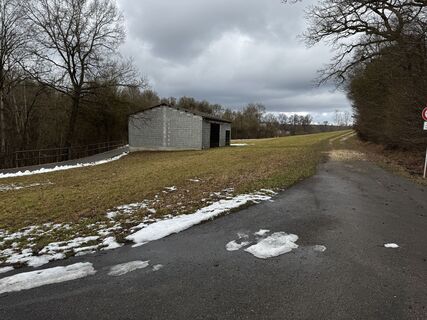 Foto de Schaali a lo largo del recorrido