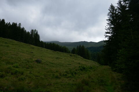 Blick nach oben verheißt nichts Gutes