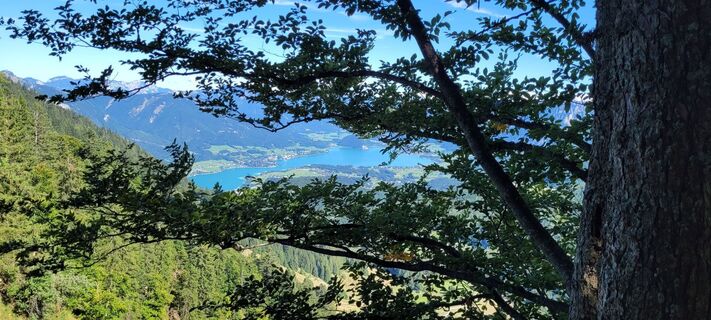 Foto von Nicky entlang der Tour