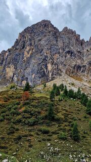 Foto von Fabrizi Mellano entlang der Tour