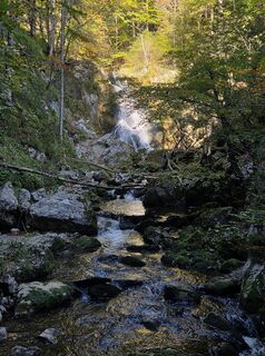 Photo de Miklós Arnold le long du parcours