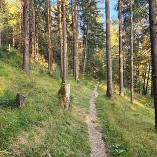 Vilsspaziergang