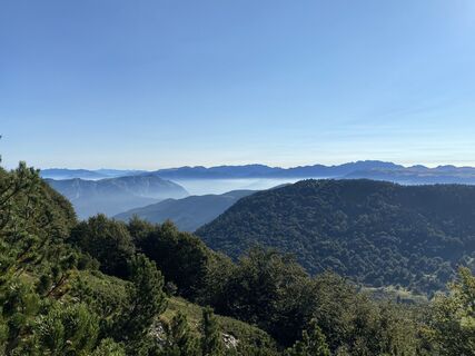 Fotografija s spletne strani Nicola Biancardi na poti