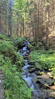 Foto von Claudia Maurer entlang der Tour