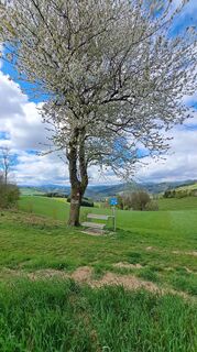Foto von Roland Meitz entlang der Tour