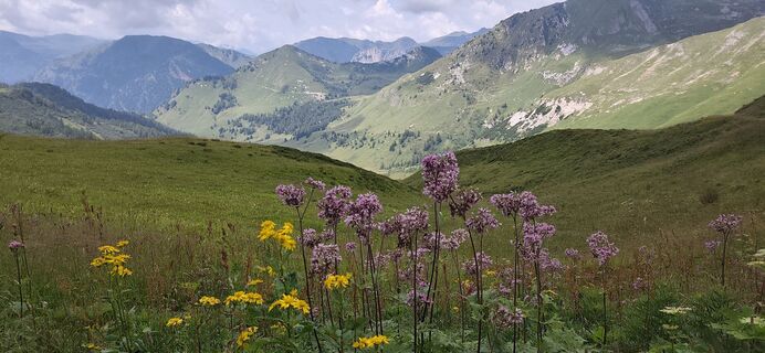 Foto de Nicoletta Carminati a lo largo del recorrido