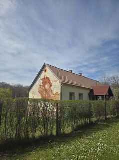 Fotografija s spletne strani Darija Forgač na poti