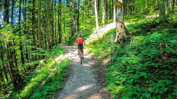 Weg zur Ewigen Wand von der Rathluckenhütte