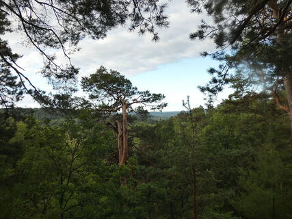 Blick vom Altschlossfelsen