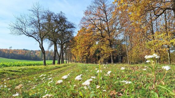 Foto von HeleneEcker entlang der Tour