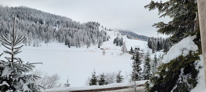 Foto von Nicky entlang der Tour