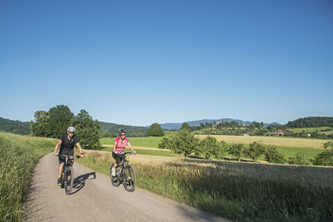 Radtour ins Elztal
