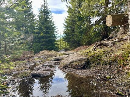 Fotó a Dani Geiger / Natur_erleben_dg honlapról a túra során