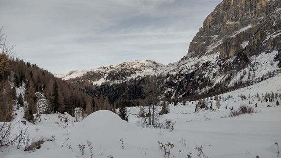 Fotografija s spletne strani oscarpette82 na poti