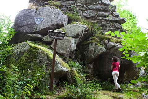 Burgruine Brigittenschloss