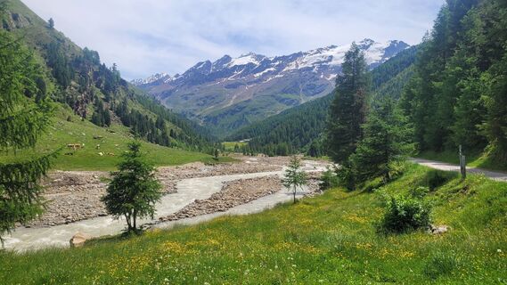 Zdjęcie z Gerti UTZ wzdłuż trasy