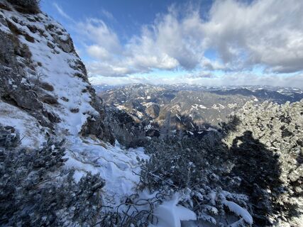 Foto von Elvis entlang der Tour
