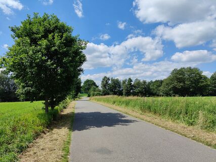 Zwischen Gerdau und Groß Süstedt
