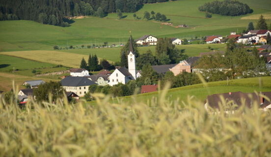 Blick auf den Ortskern vom Wanderweg