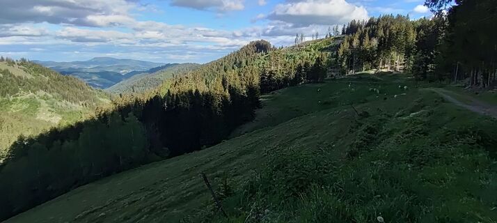 Fotografija s spletne strani wolfkl na poti