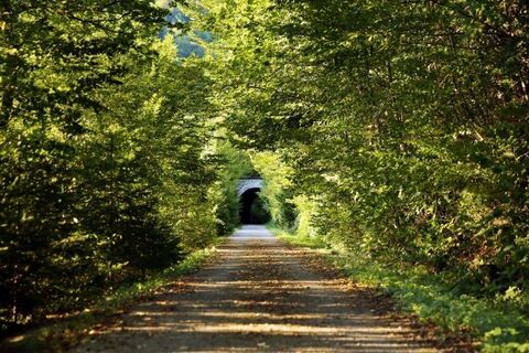 Falkenschlucht-Tour