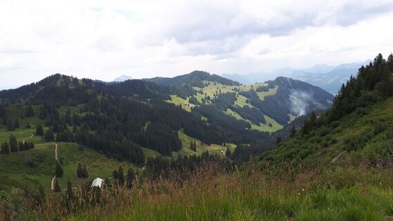 Fotografia z k.chrosch na trase