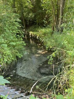 Foto de Sven Krieblin a lo largo del recorrido