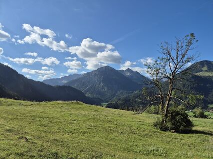 Fotografija s spletne strani Gerd Schaefer na poti