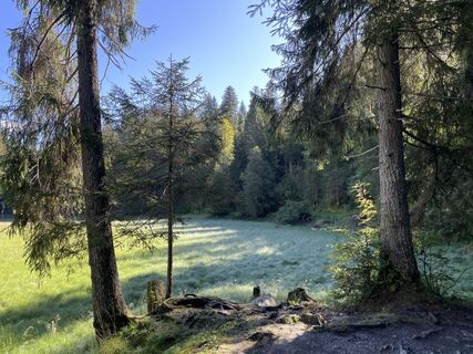 Fotografia z Rainer Jellinek na trase